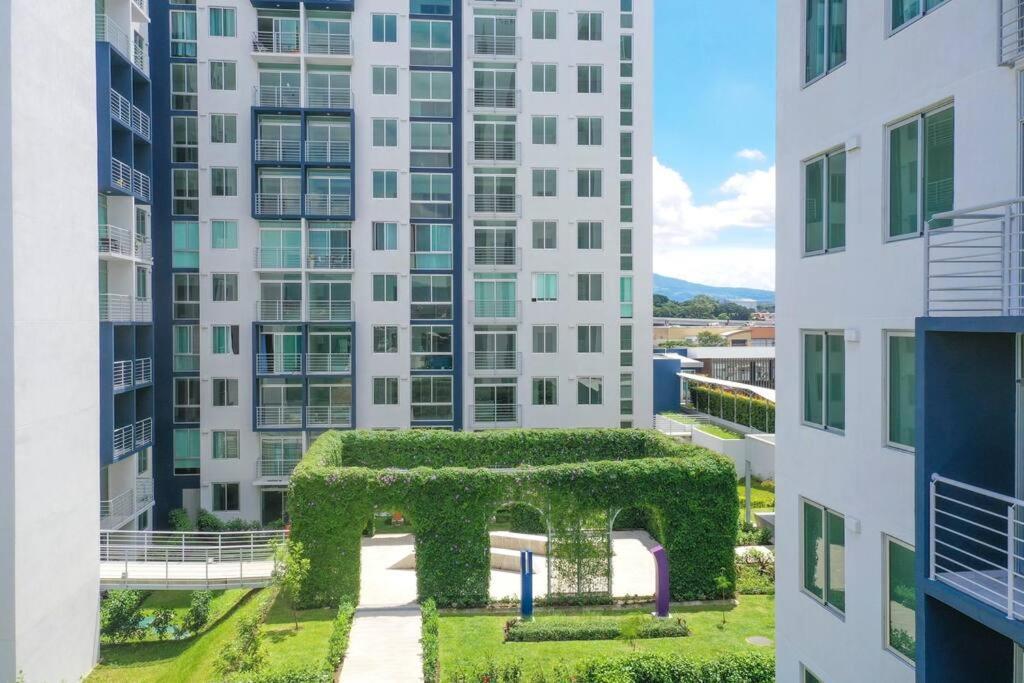 New Luxury 12th Floor San Jose (San Jose)