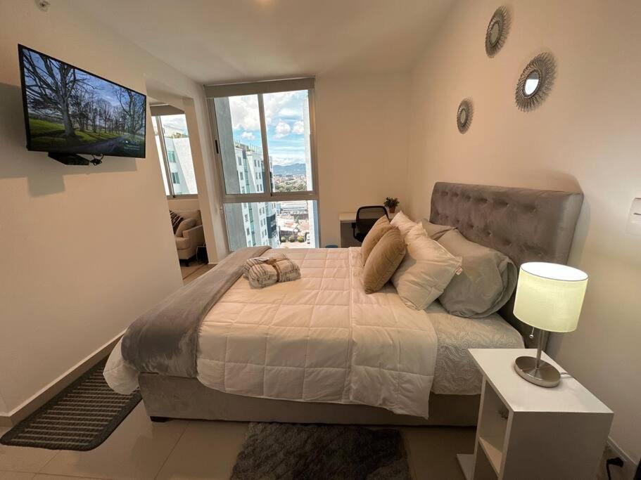 New Luxury 12th Floor San Jose (San Jose)
