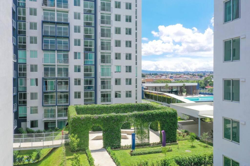New Luxury 12th Floor Apartment